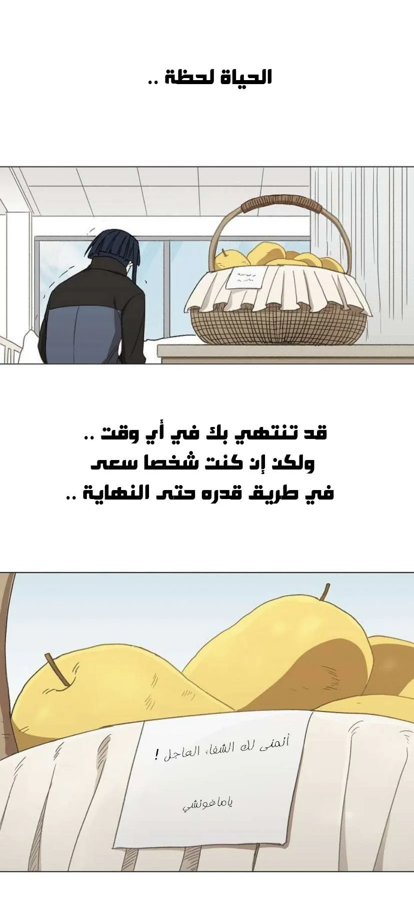 الصفحة 49 من 79