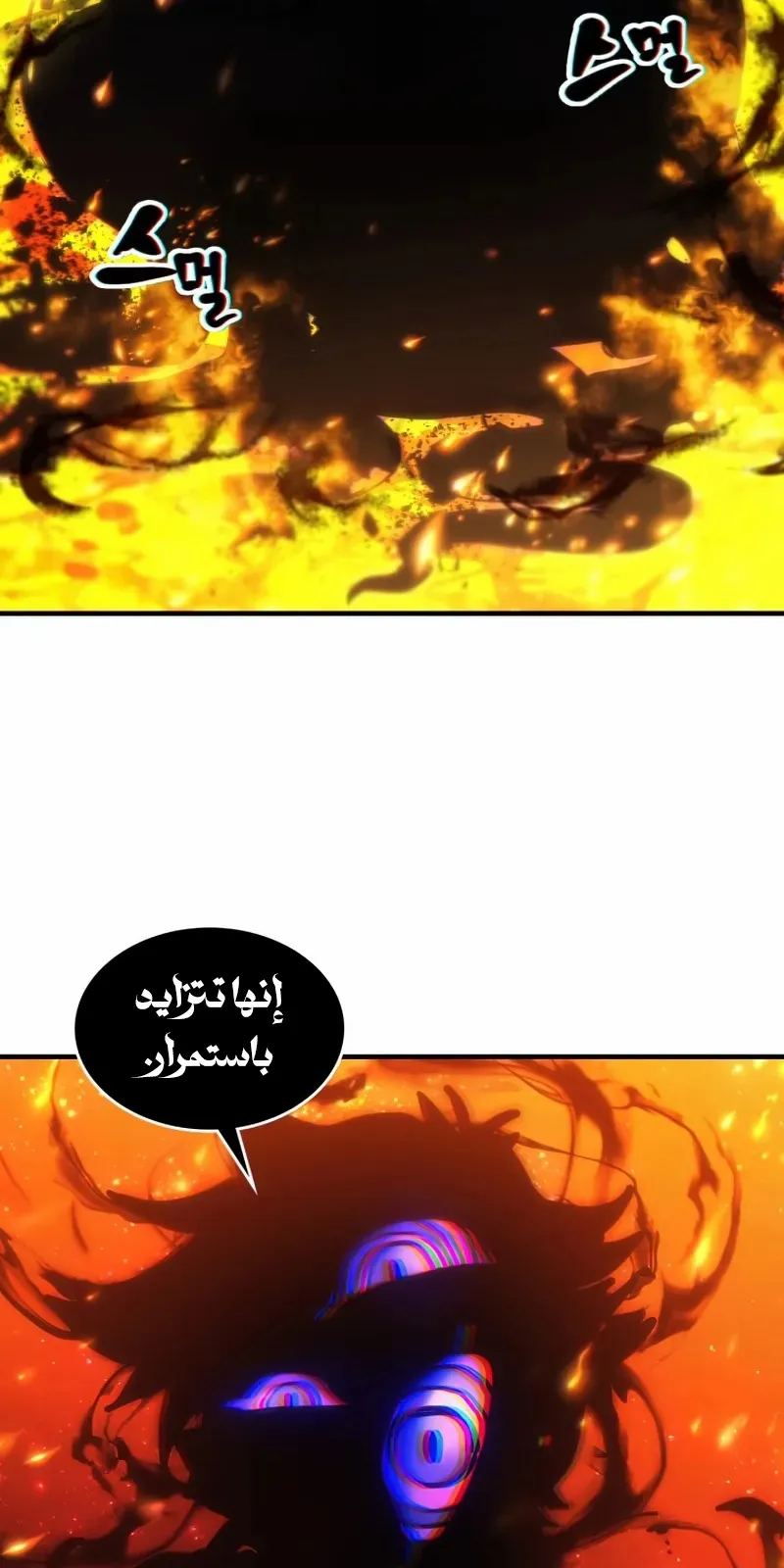 الصفحة 53 من 82