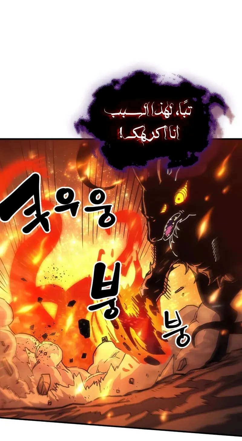 الصفحة 23 من 82