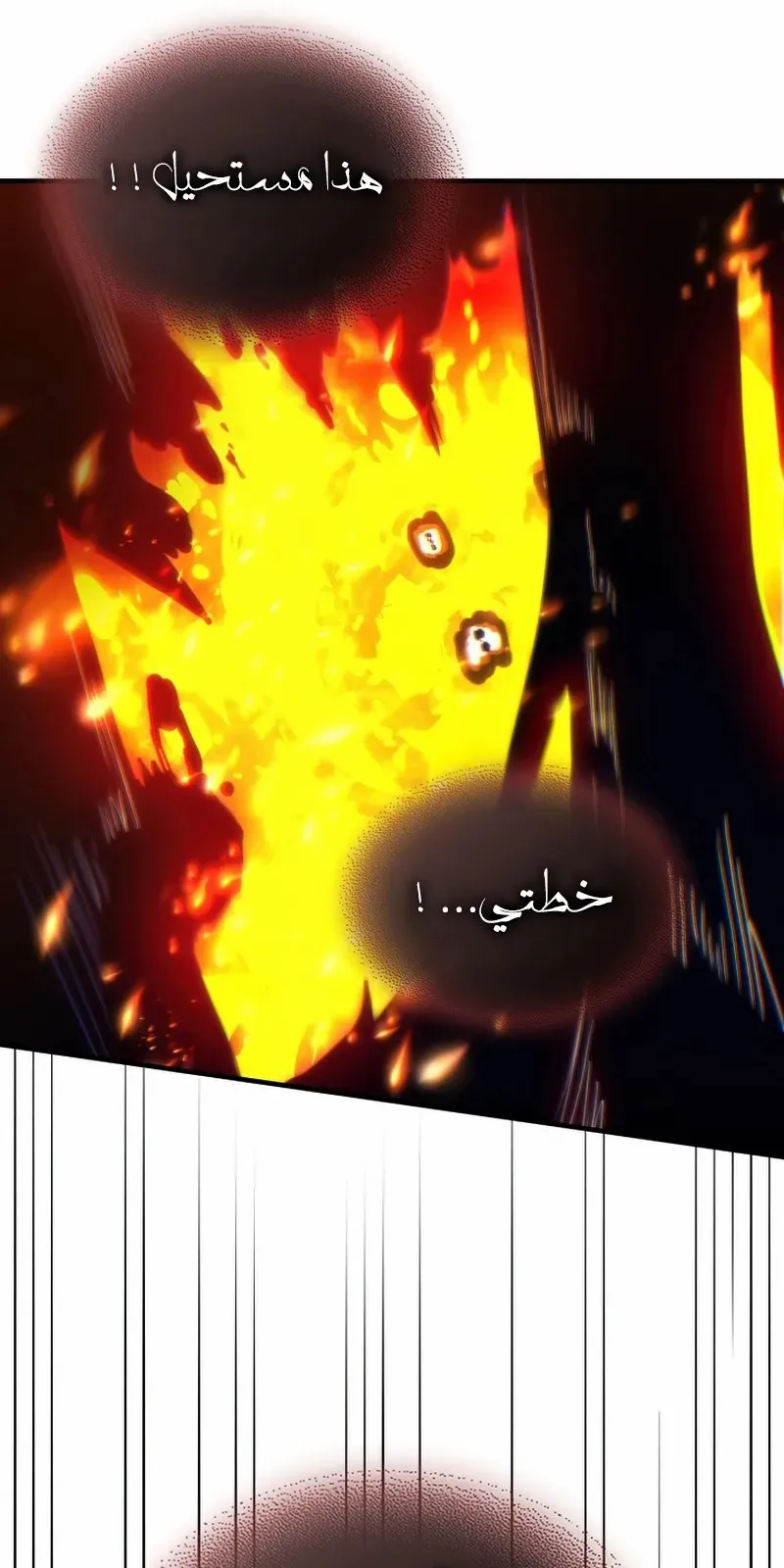 الصفحة 46 من 82