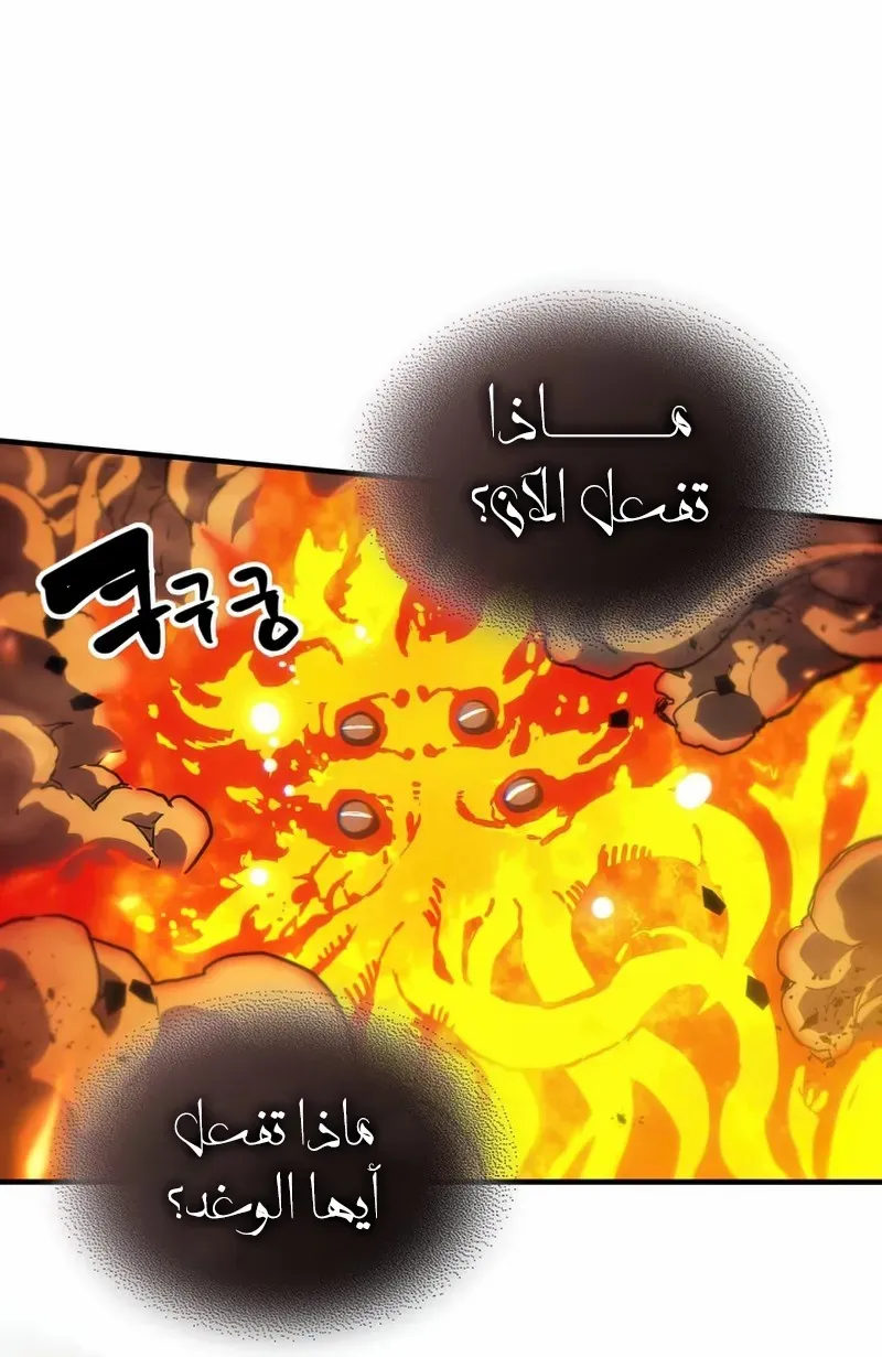 الصفحة 24 من 82