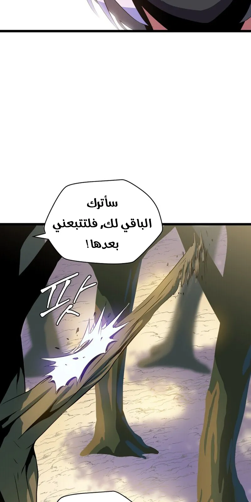 الصفحة 12 من 91