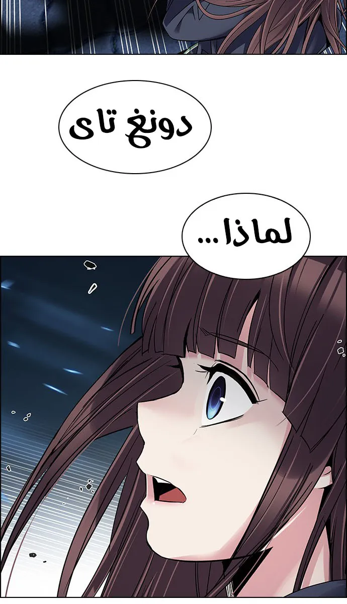 الصفحة 31 من 50