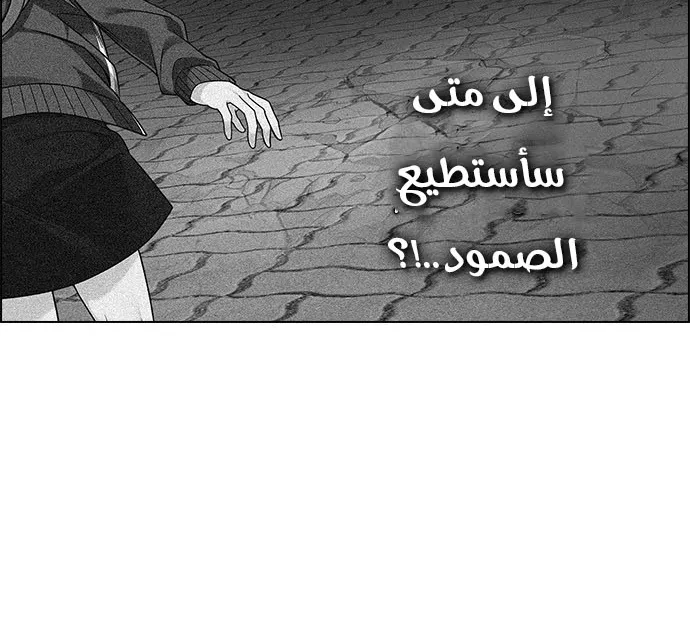 الصفحة 15 من 50