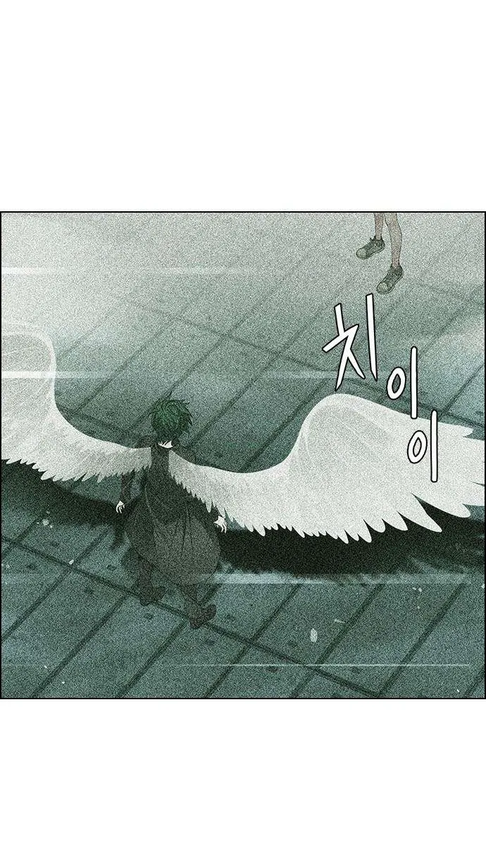 الصفحة 46 من 64