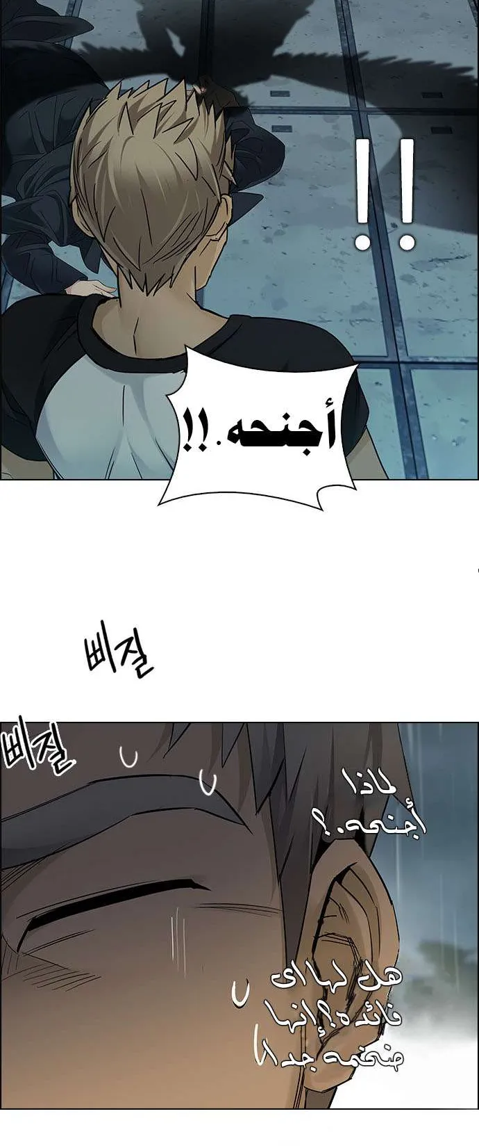 الصفحة 27 من 64