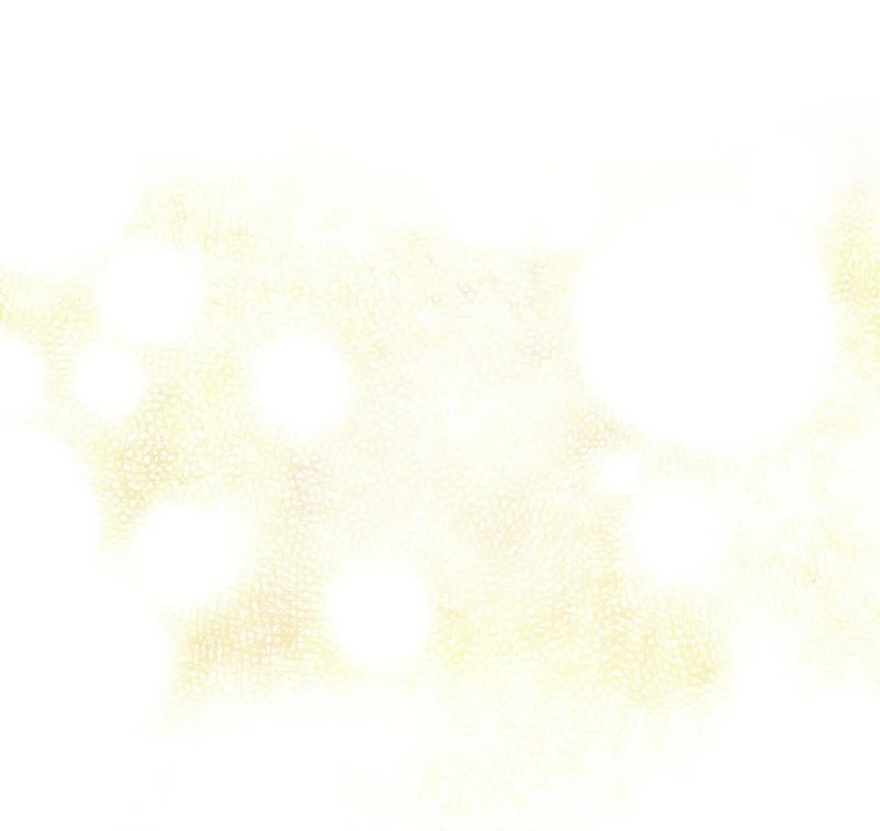 الصفحة 119 من 122