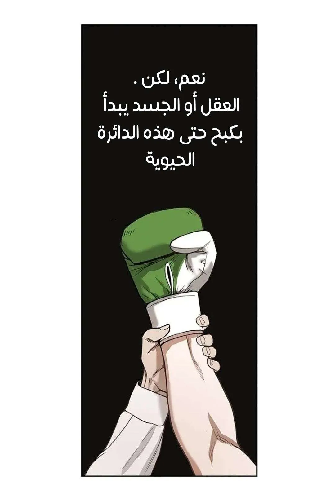 الصفحة 79 من 135