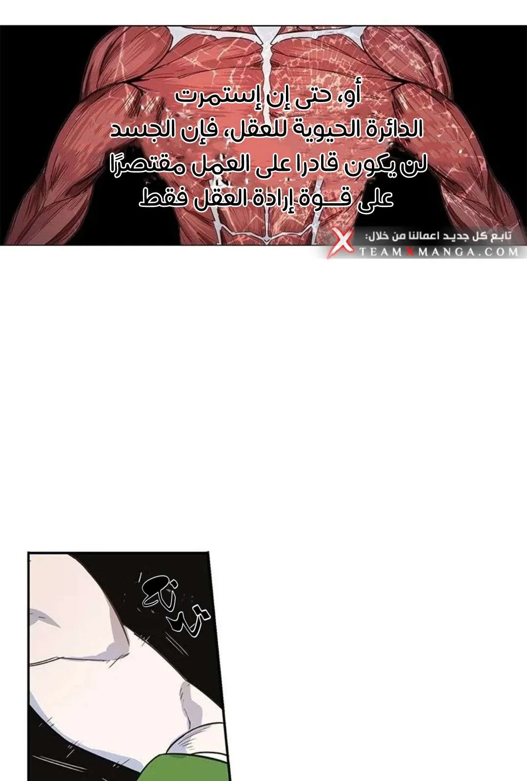 الصفحة 82 من 135
