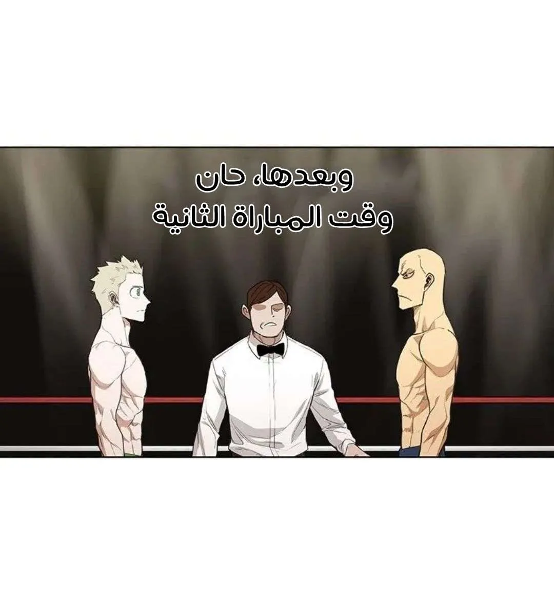 الصفحة 13 من 135