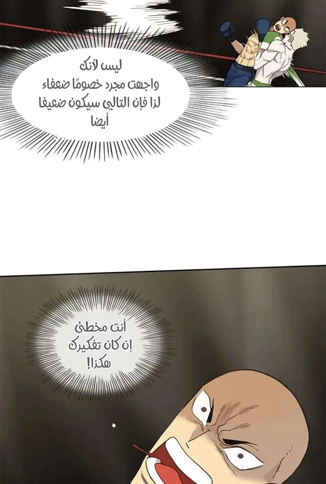 الصفحة 38 من 135