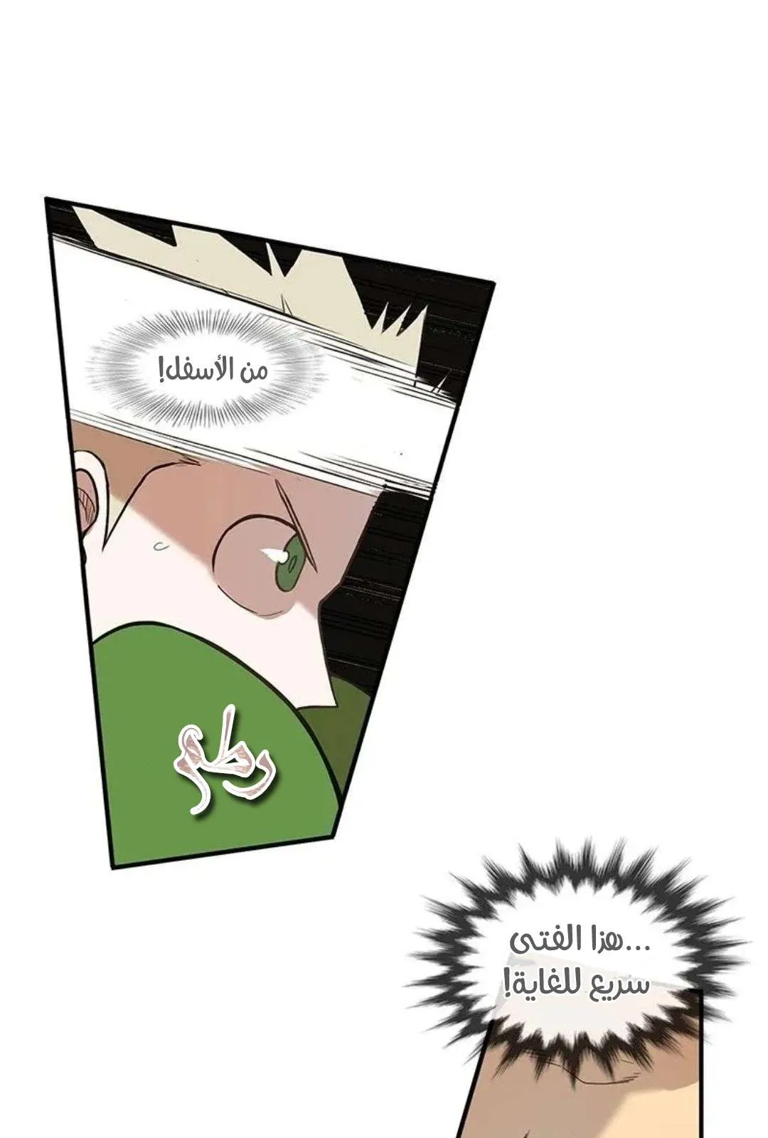 الصفحة 46 من 135