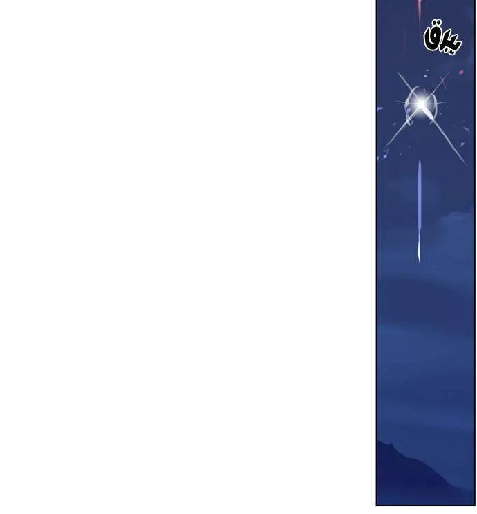 الصفحة 13 من 26