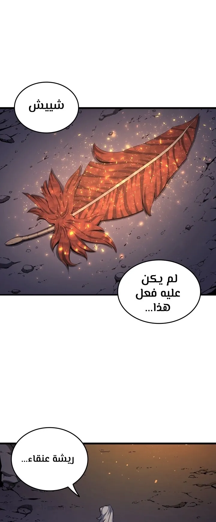 الصفحة 34 من 72