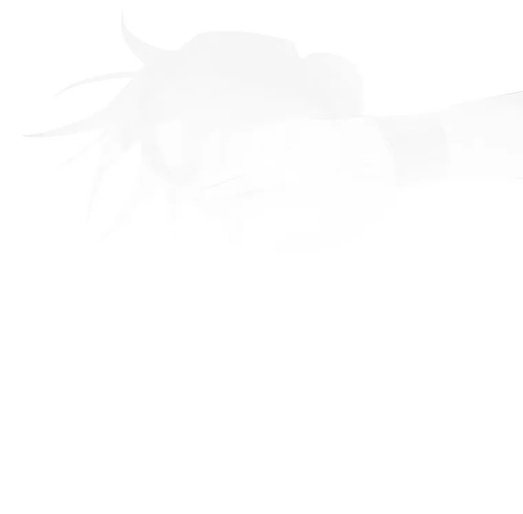 الصفحة 28 من 137