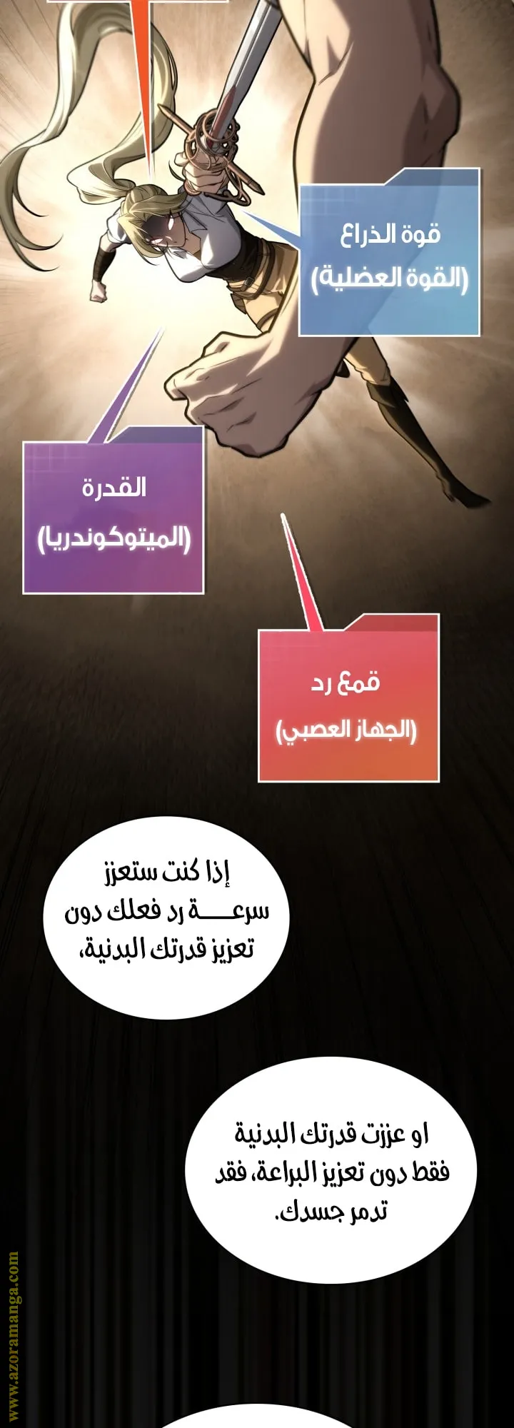 الصفحة 56 من 78