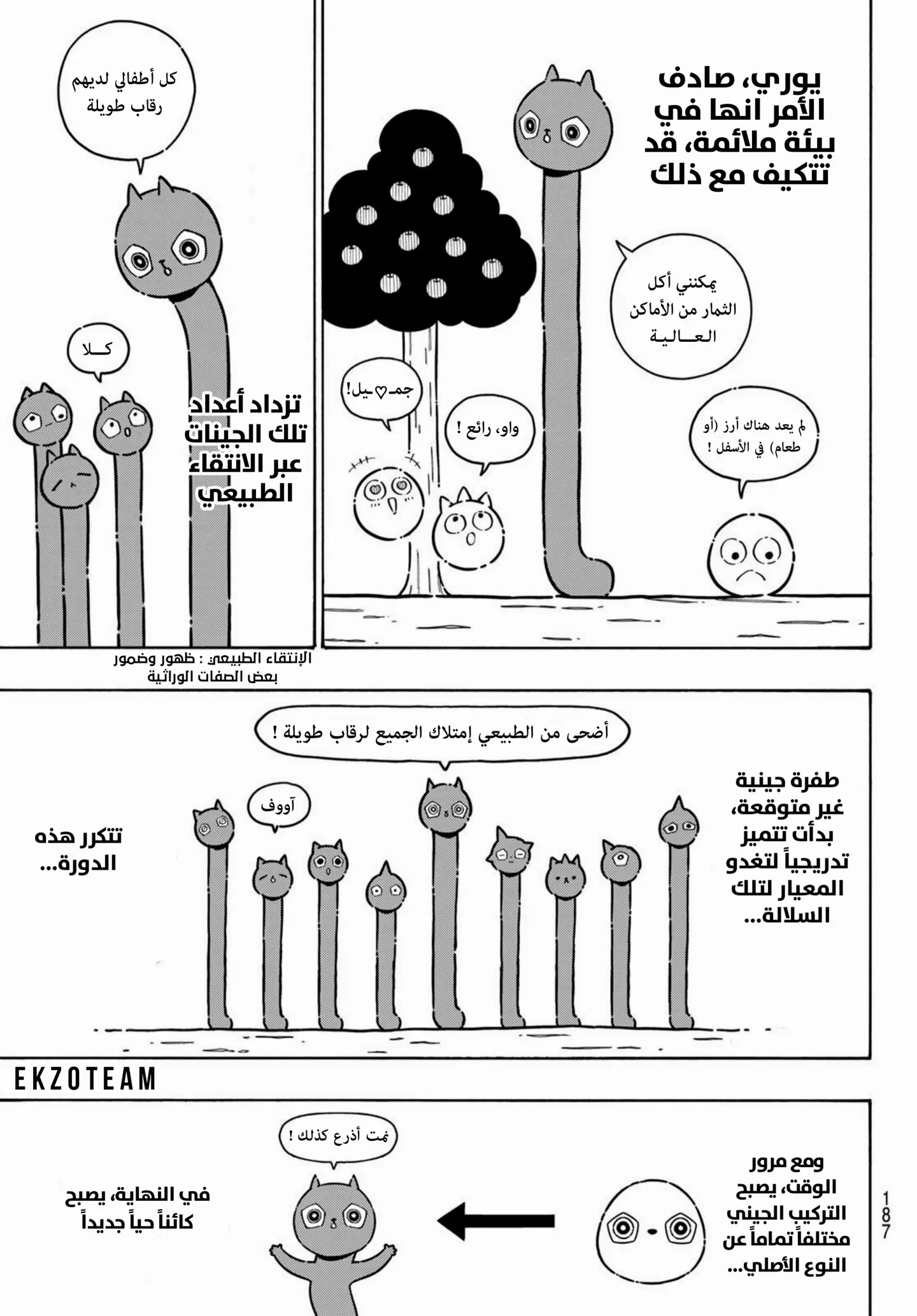 الصفحة 4 من 20