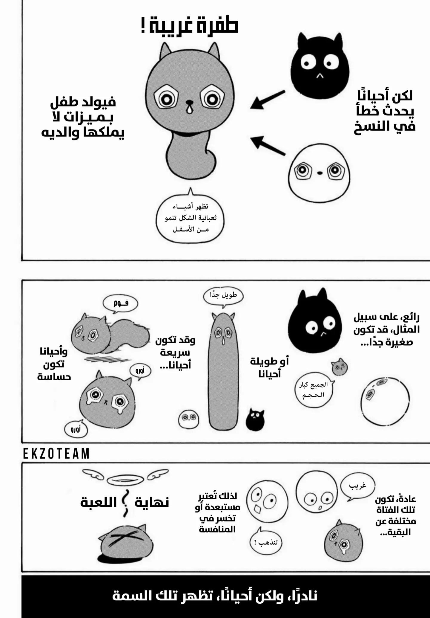 الصفحة 3 من 20