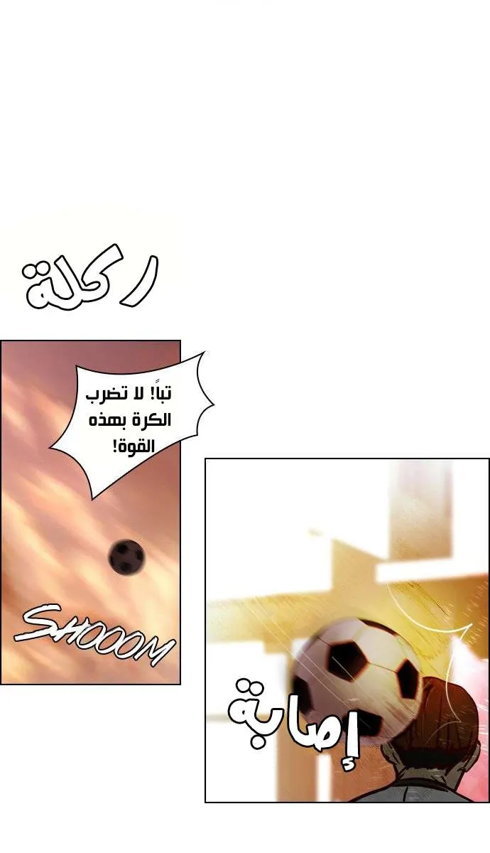 الصفحة 41 من 49