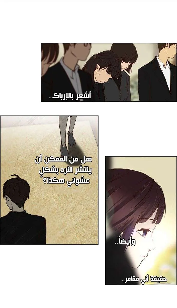 الصفحة 19 من 49