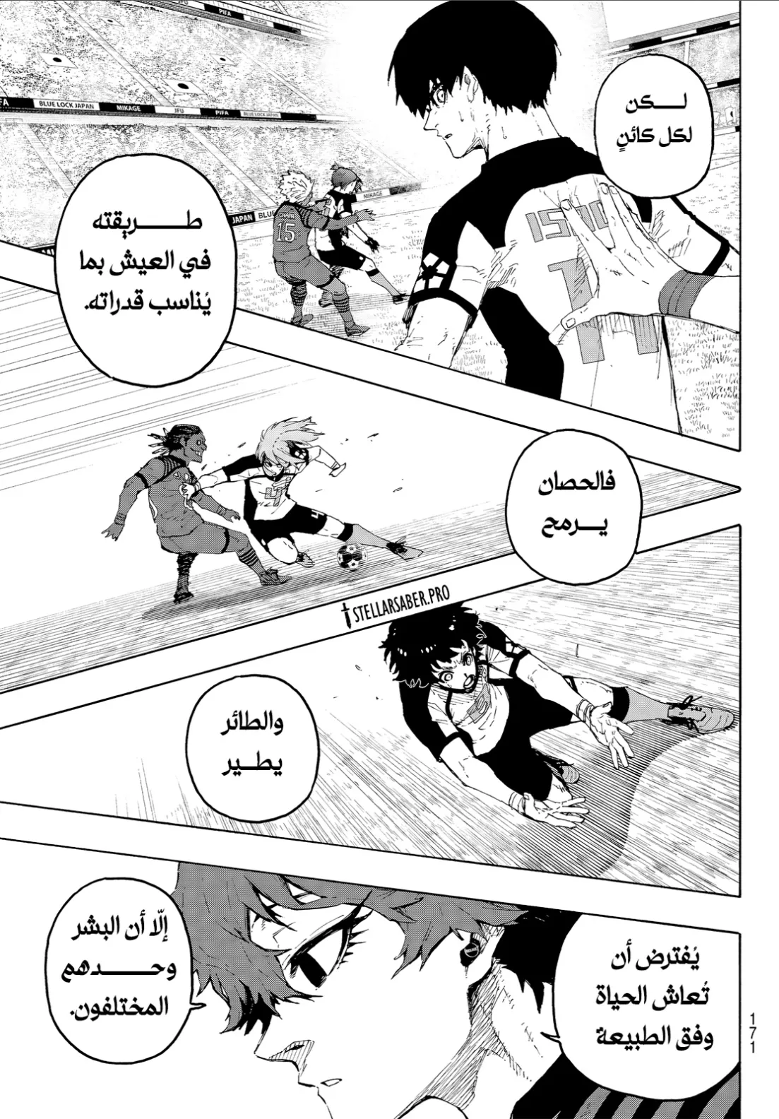 الصفحة 13 من 19