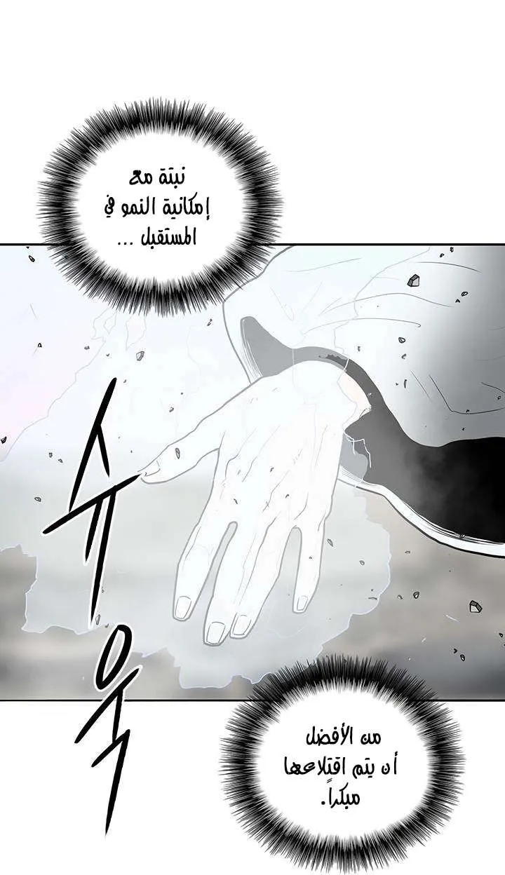 الصفحة 37 من 70