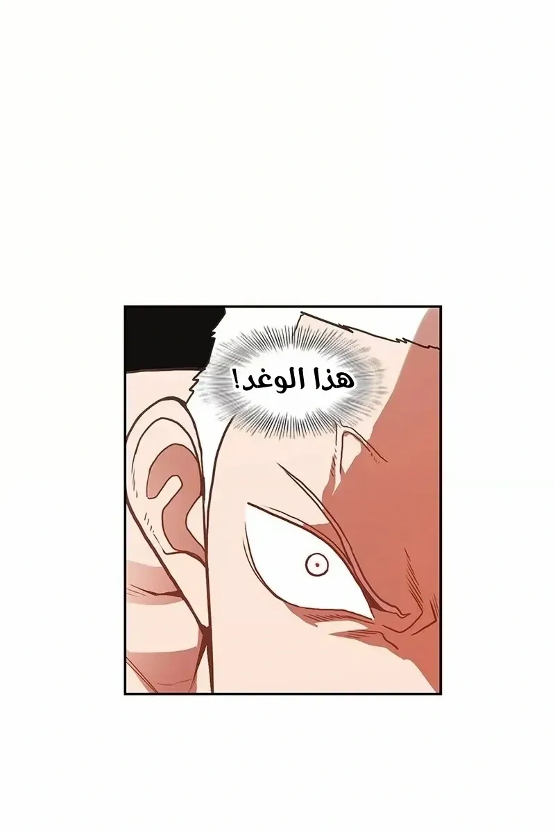 الصفحة 6 من 73