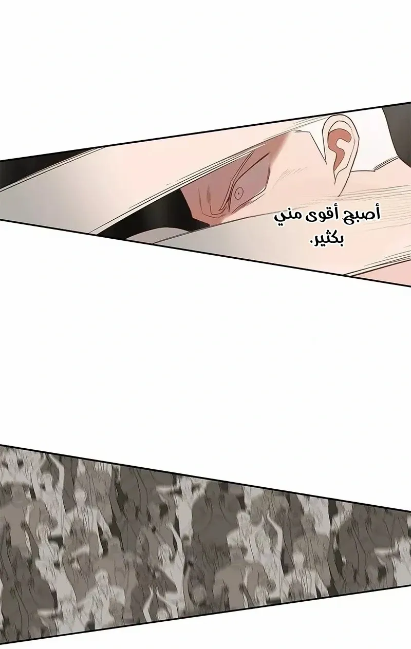 الصفحة 26 من 73