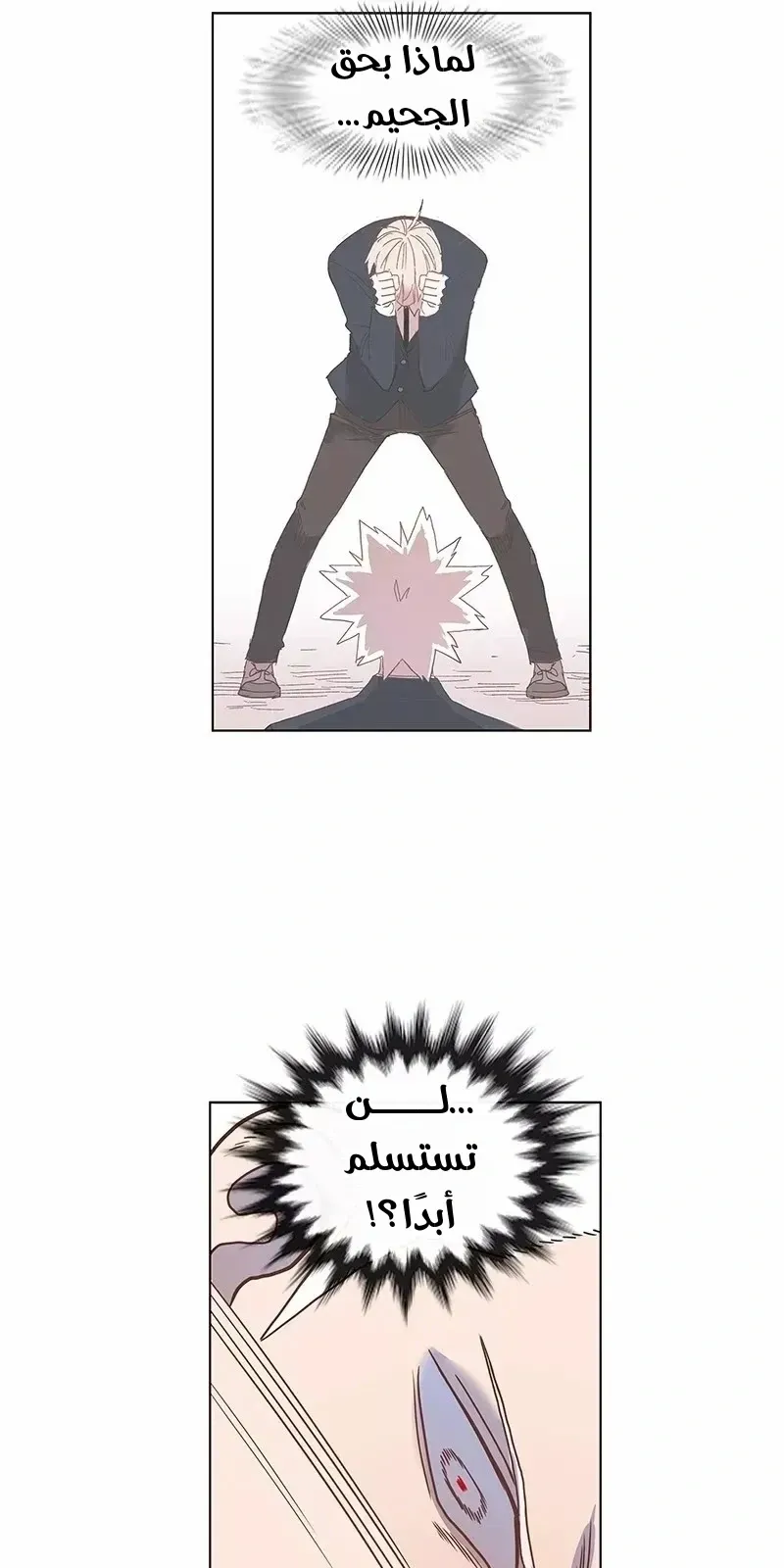 الصفحة 44 من 73