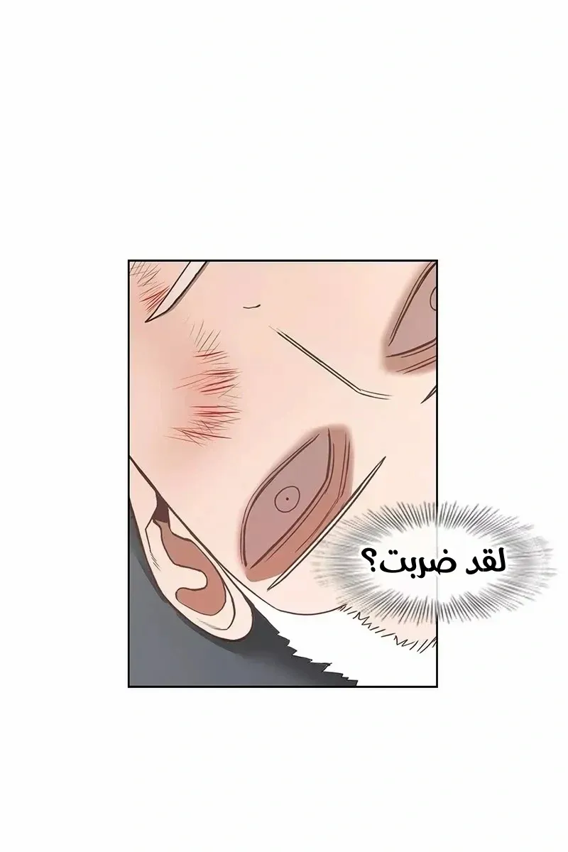 الصفحة 3 من 73