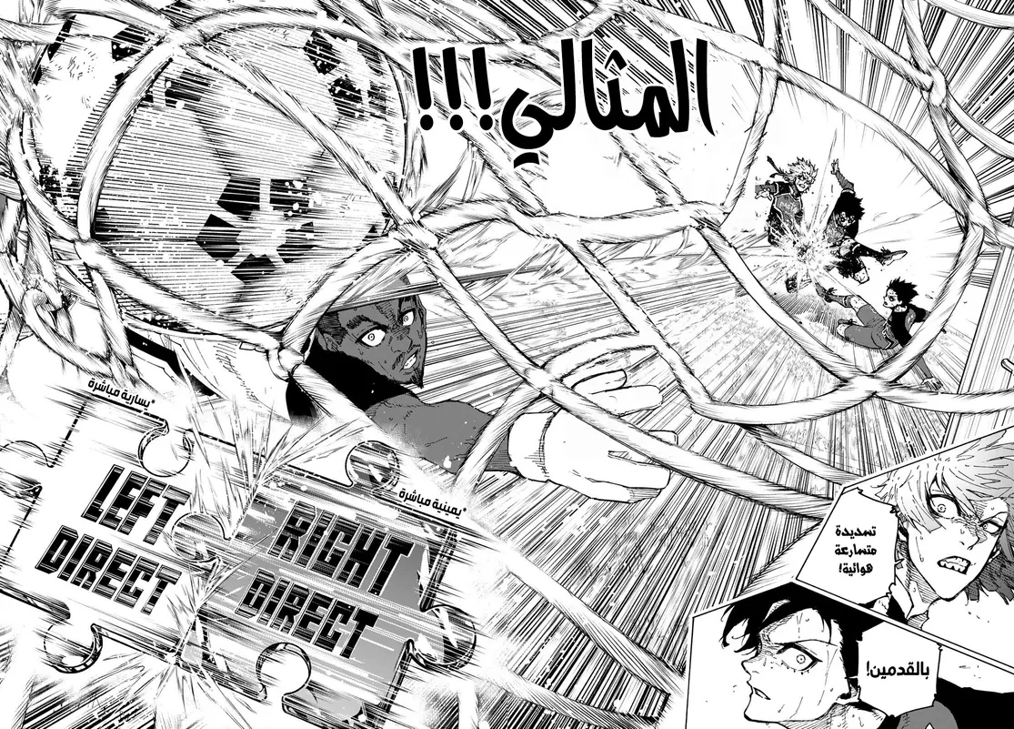الصفحة 15 من 16