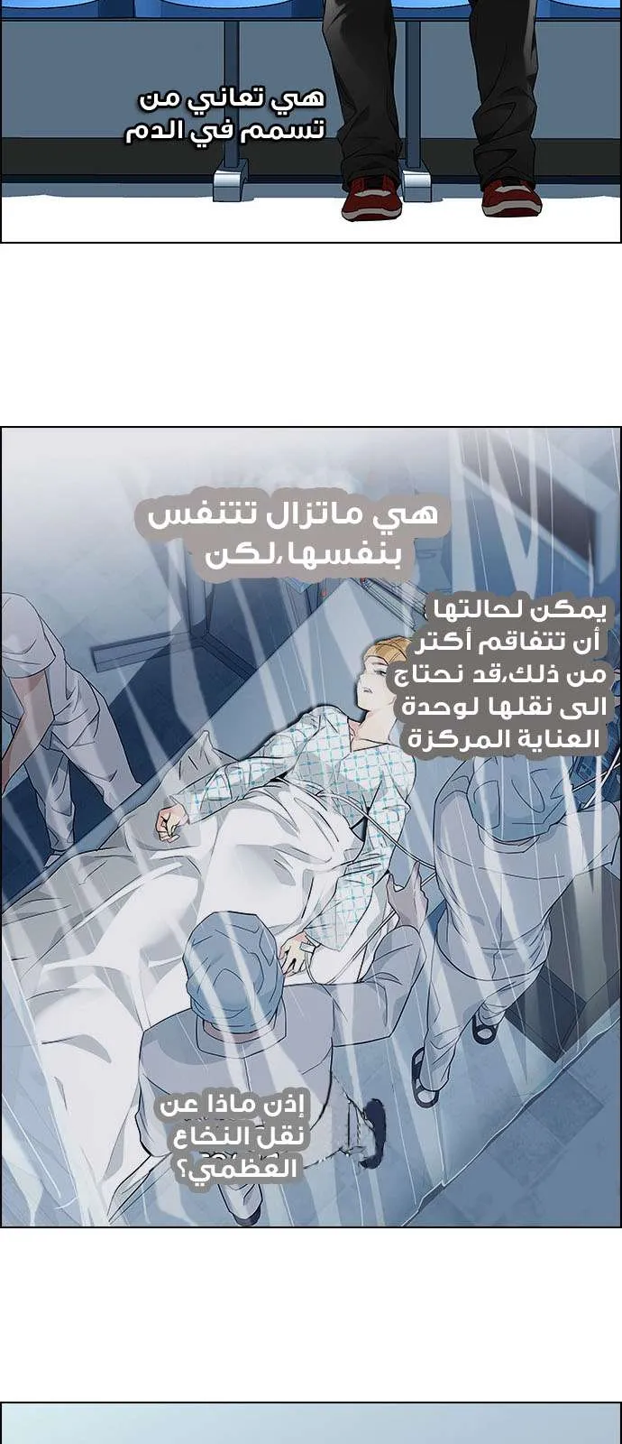 الصفحة 36 من 55