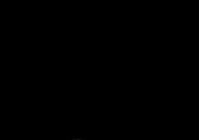 الصفحة 66 من 114