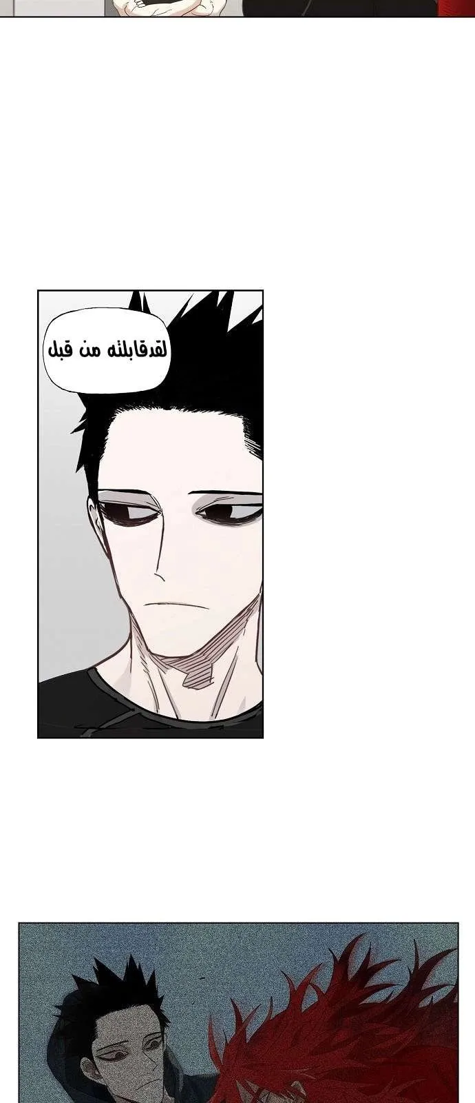 الصفحة 28 من 52