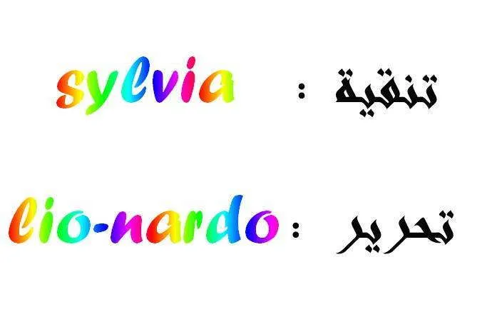 الصفحة 17 من 17