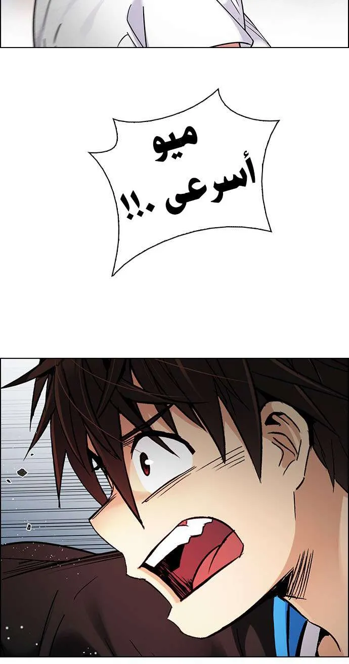 الصفحة 56 من 66