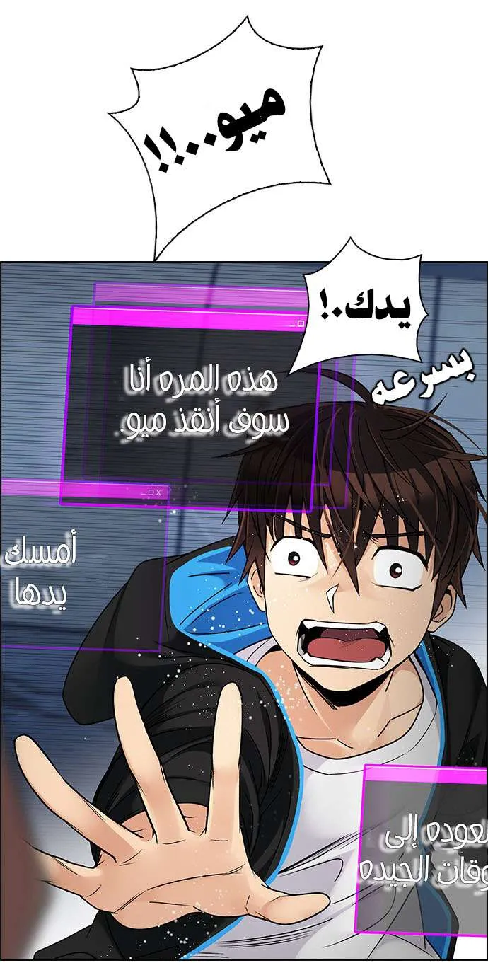 الصفحة 52 من 66