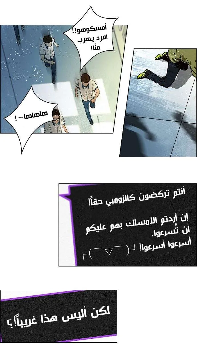 الصفحة 40 من 46