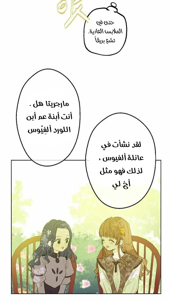 الصفحة 15 من 31
