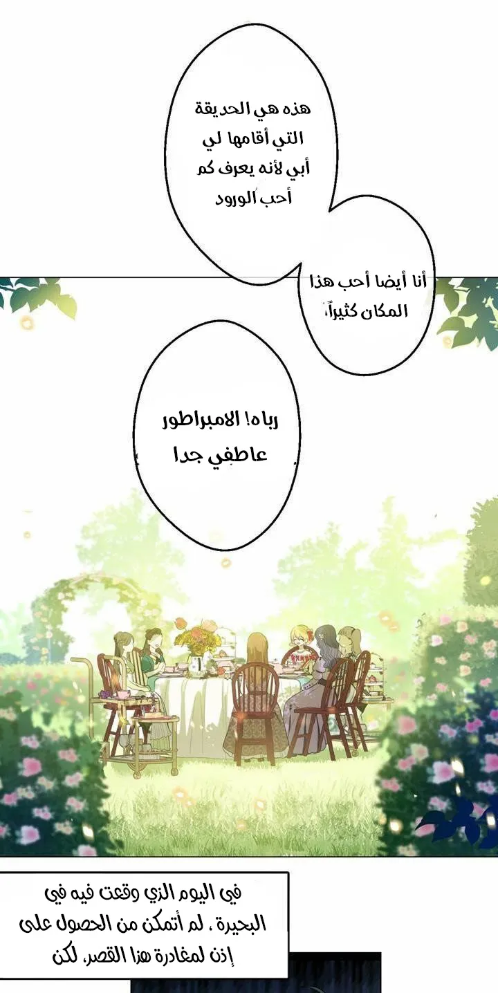 الصفحة 7 من 31