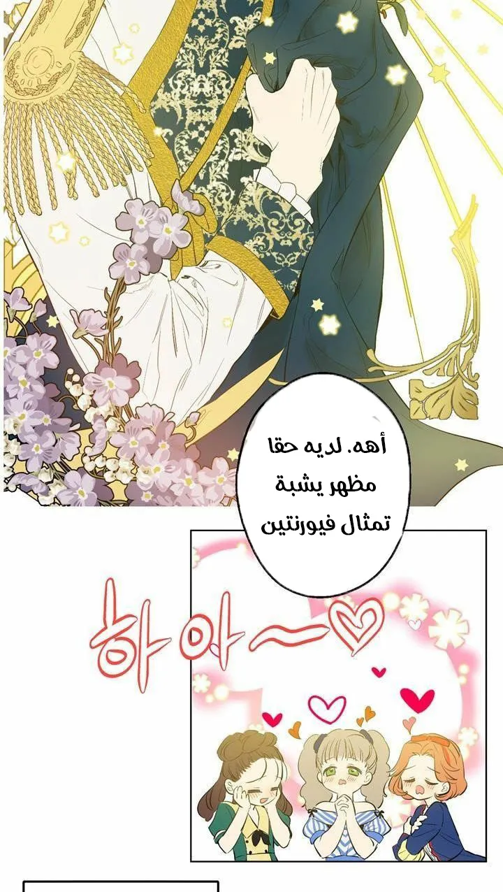 الصفحة 17 من 31