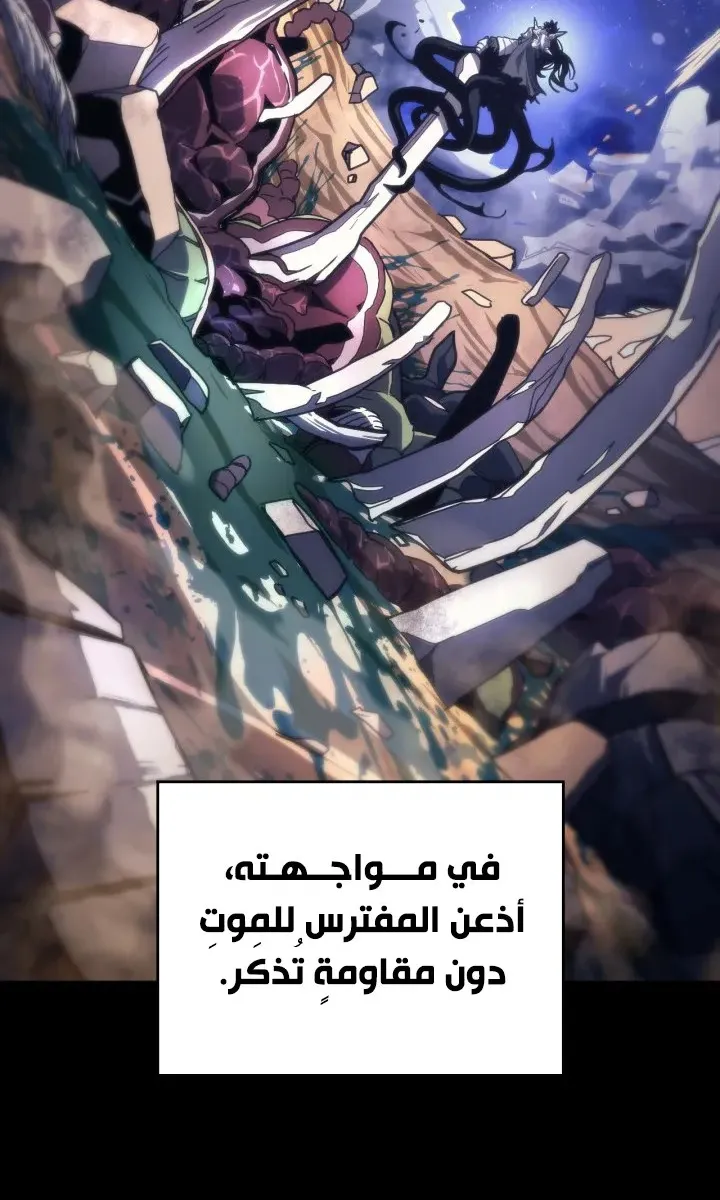 الصفحة 13 من 75