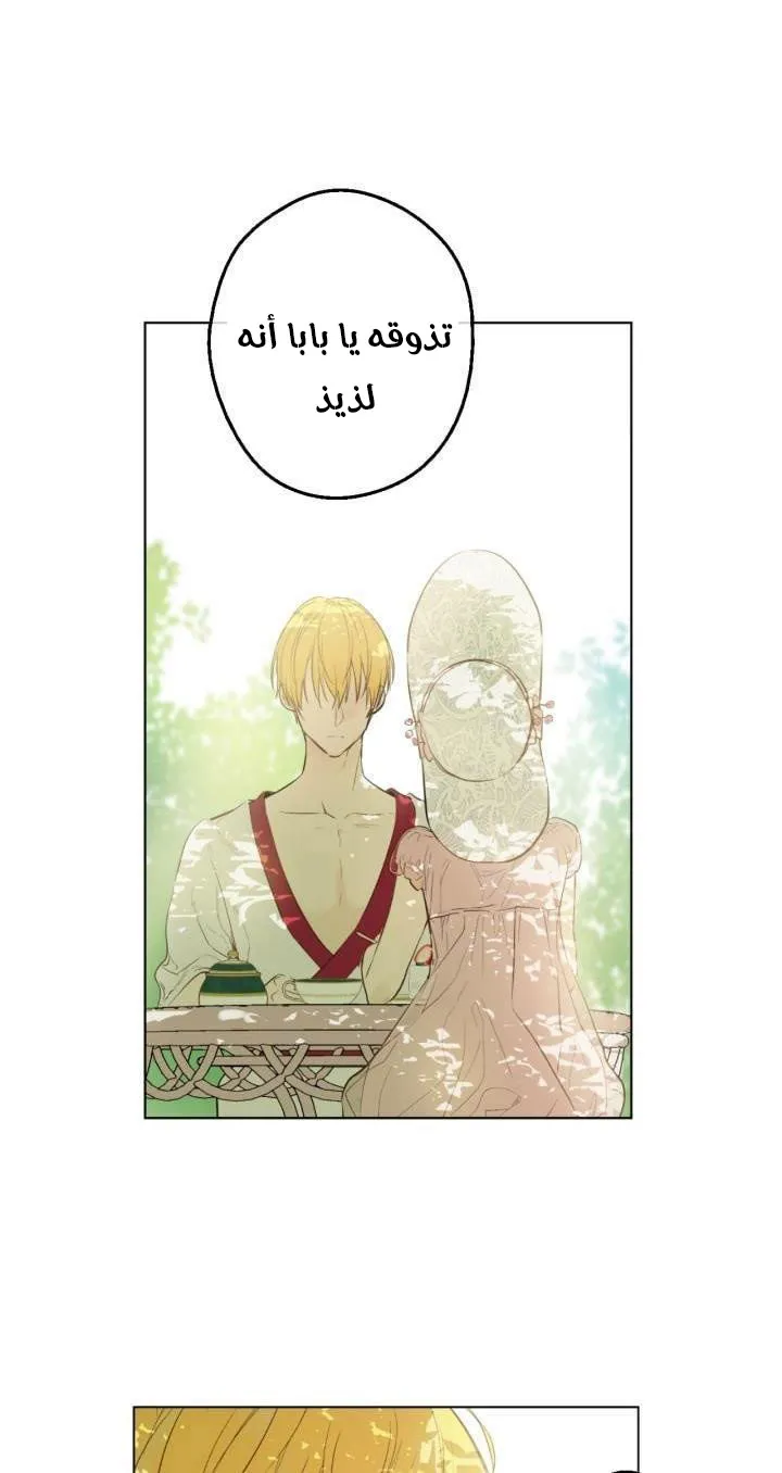 الصفحة 3 من 48