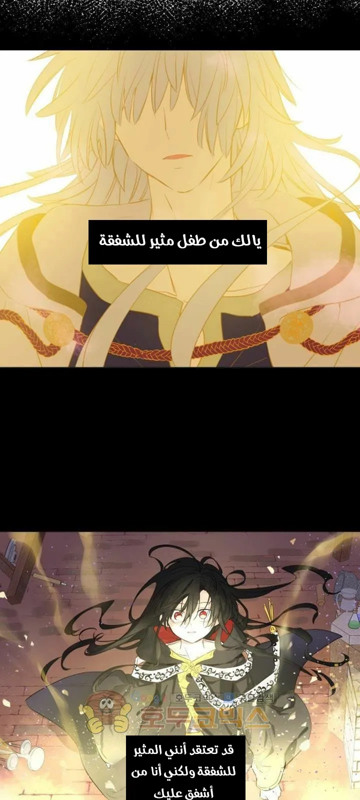 الصفحة 43 من 48