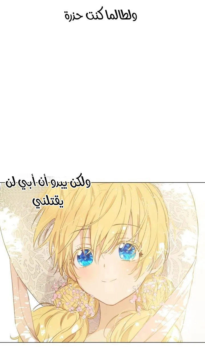 الصفحة 16 من 48