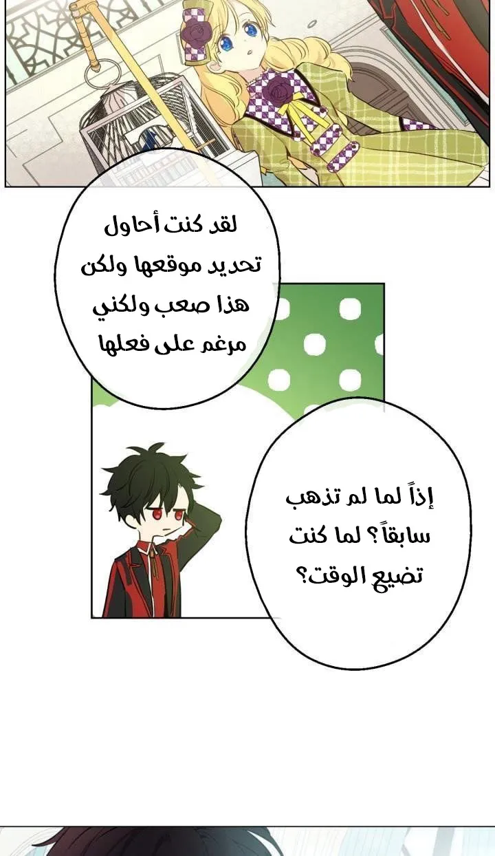 الصفحة 26 من 48