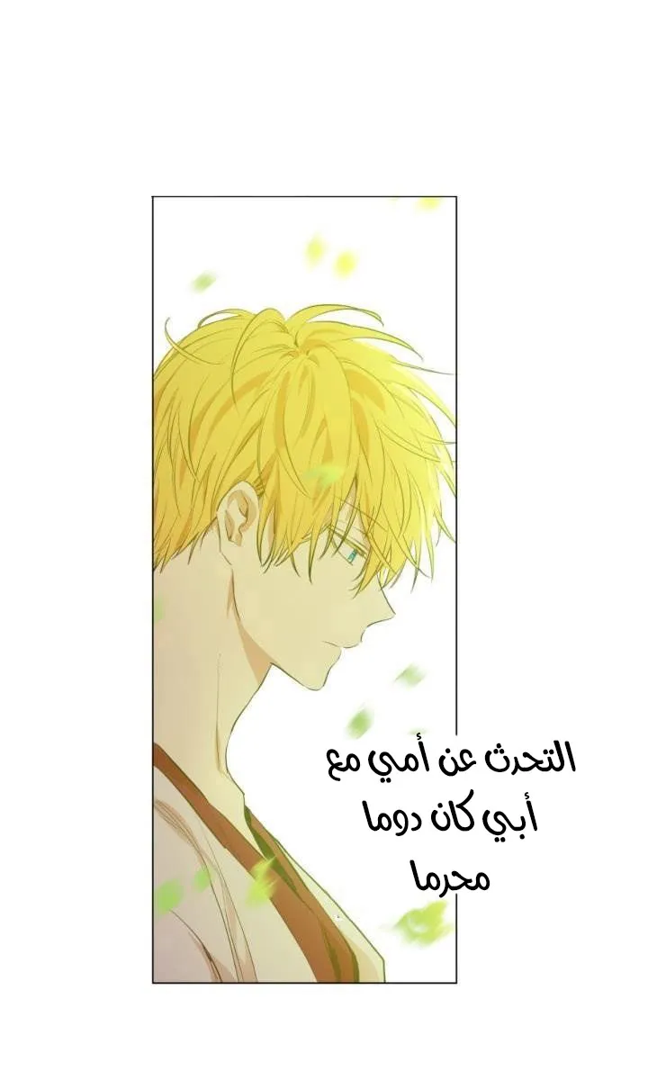 الصفحة 15 من 48