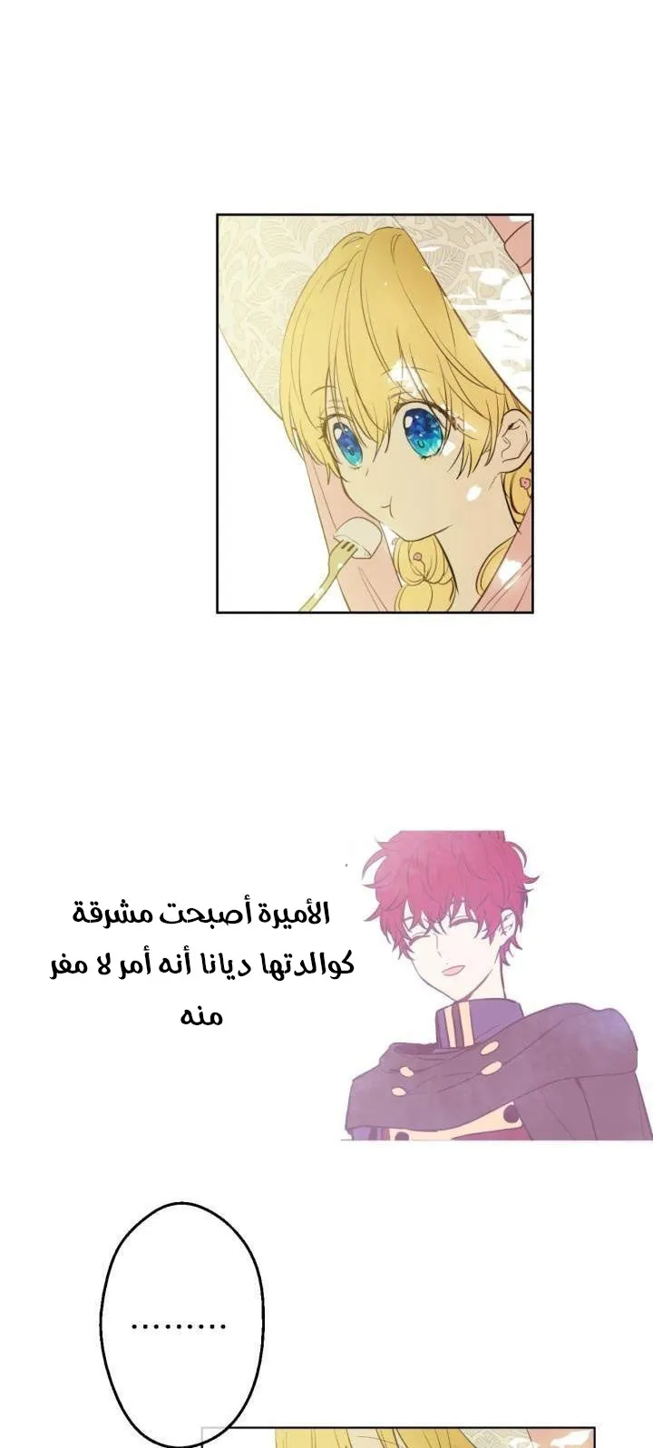 الصفحة 5 من 48