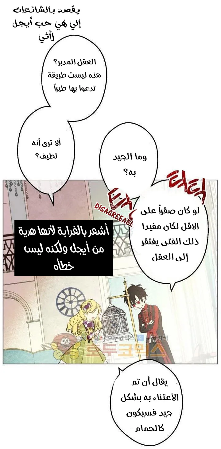 الصفحة 23 من 48