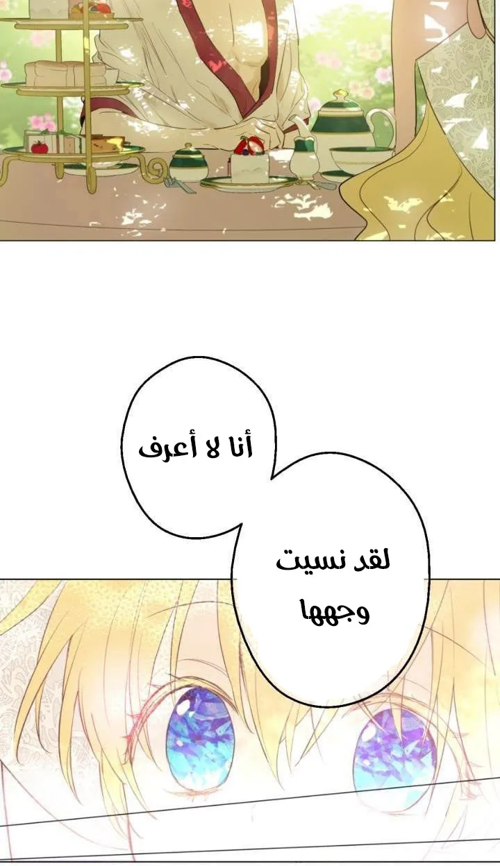 الصفحة 13 من 48